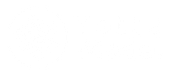 Logo-Yotta-Model-whitealpha-600x250 Logo Yotta Model white on transparent background