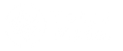 Logo Yotta Model white on transparent background